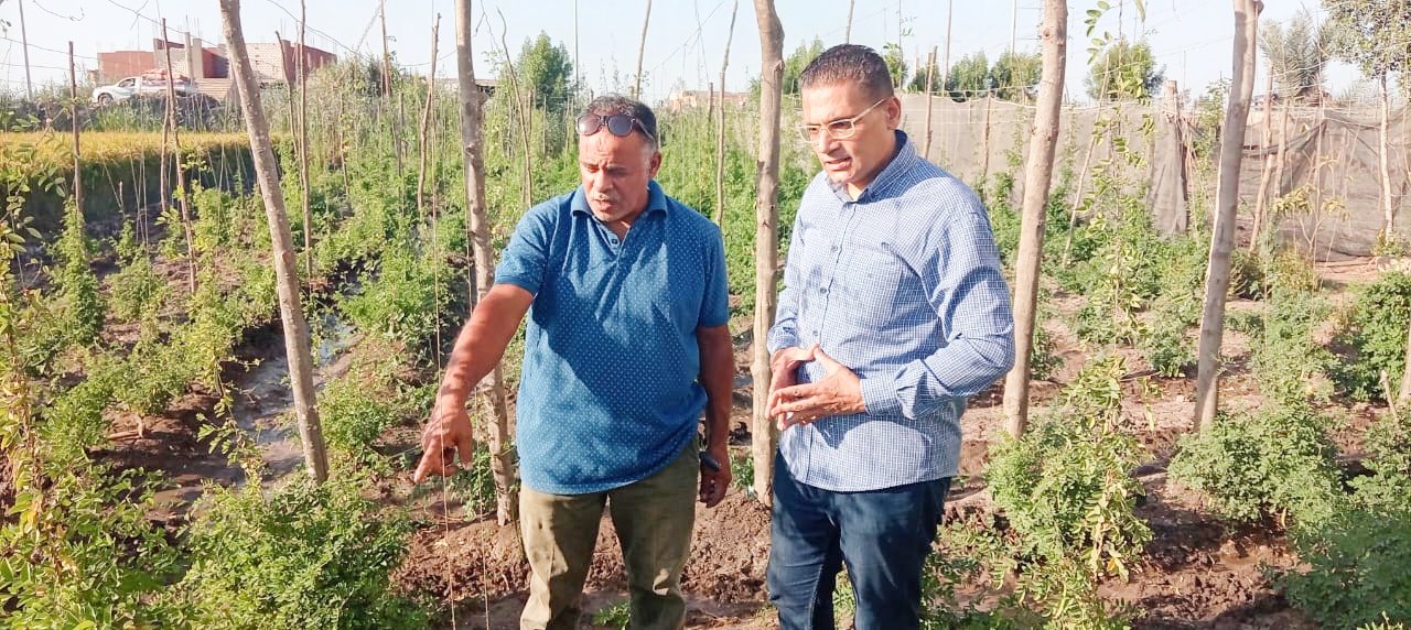 مهندس عادل عتيق صاحب مزرعة الشاى الازرق مهندس عادل عتيق صاحب مزرعة الشاى الازرق