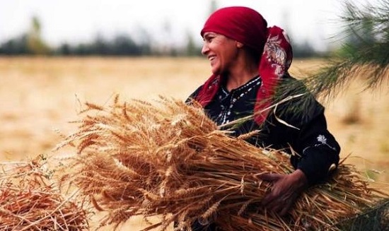 اليوم العالمى للمرأة الريفية