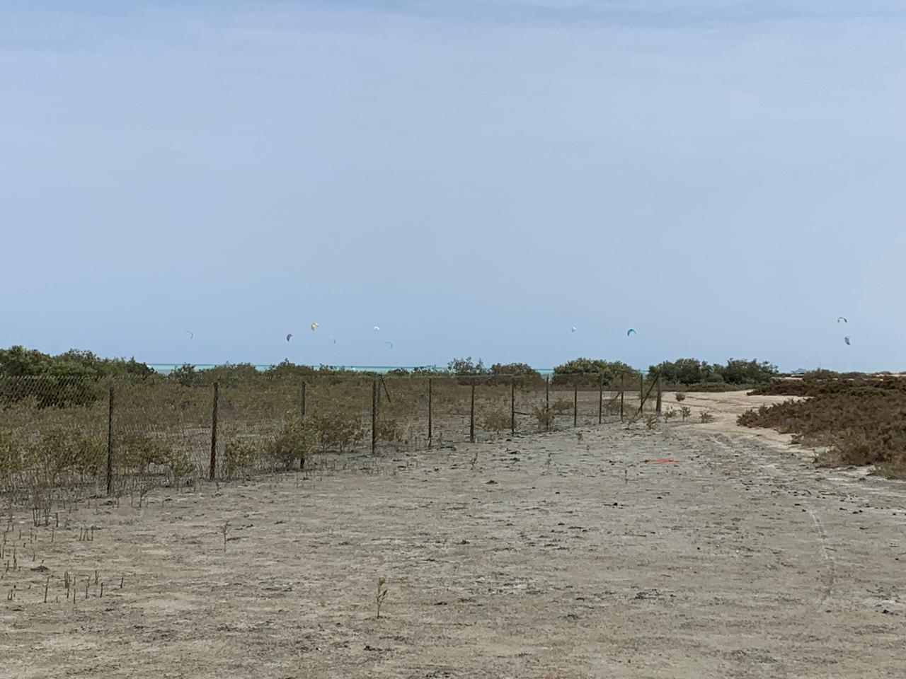 وادى الجمال