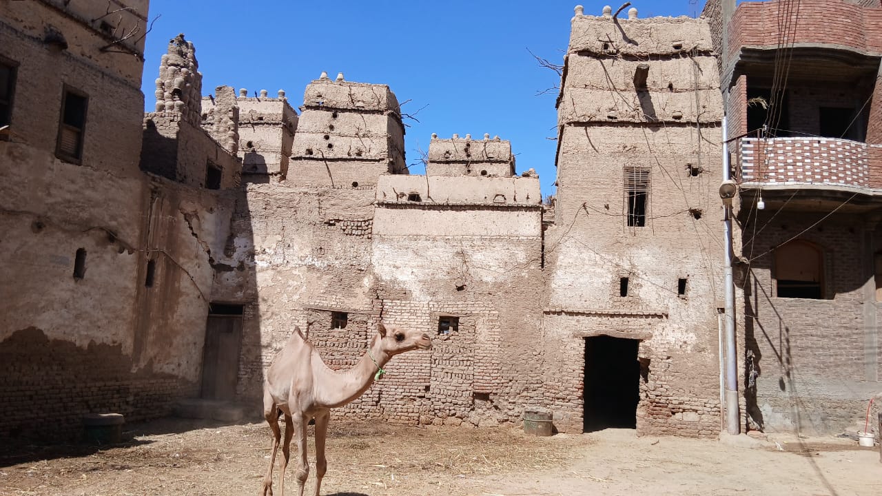 منطقة نجع الضوي بقرية الخطارة منطقة نجع الضوي بقرية الخطارة