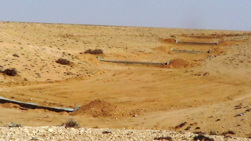 حصاد أمطار - احد وديان مطروح