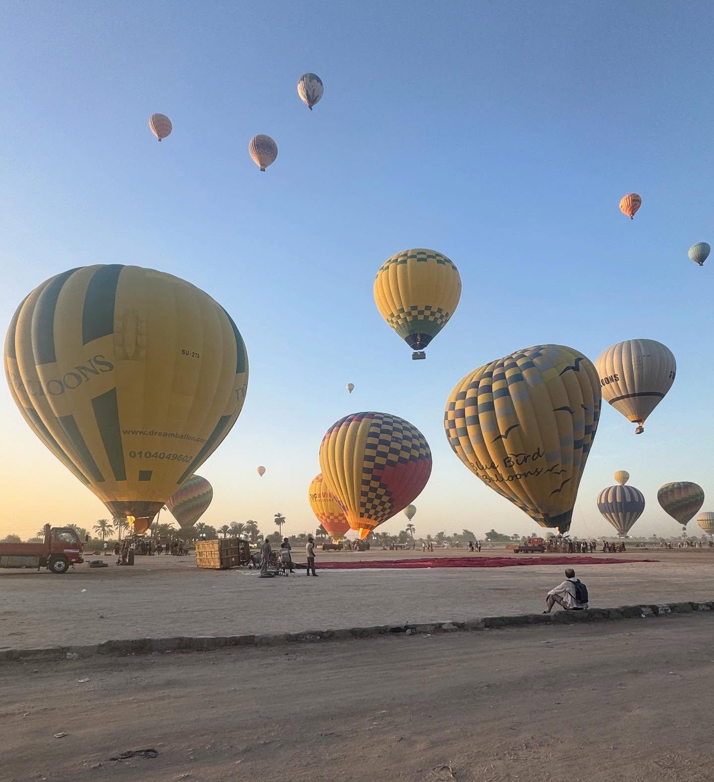 الأقصر تشهد تحليق 1350 سائح من حول العالم على متن 47 رحلة بالون الأقصر تشهد تحليق 1350 سائح من حول العالم على متن 47 رحلة بالون