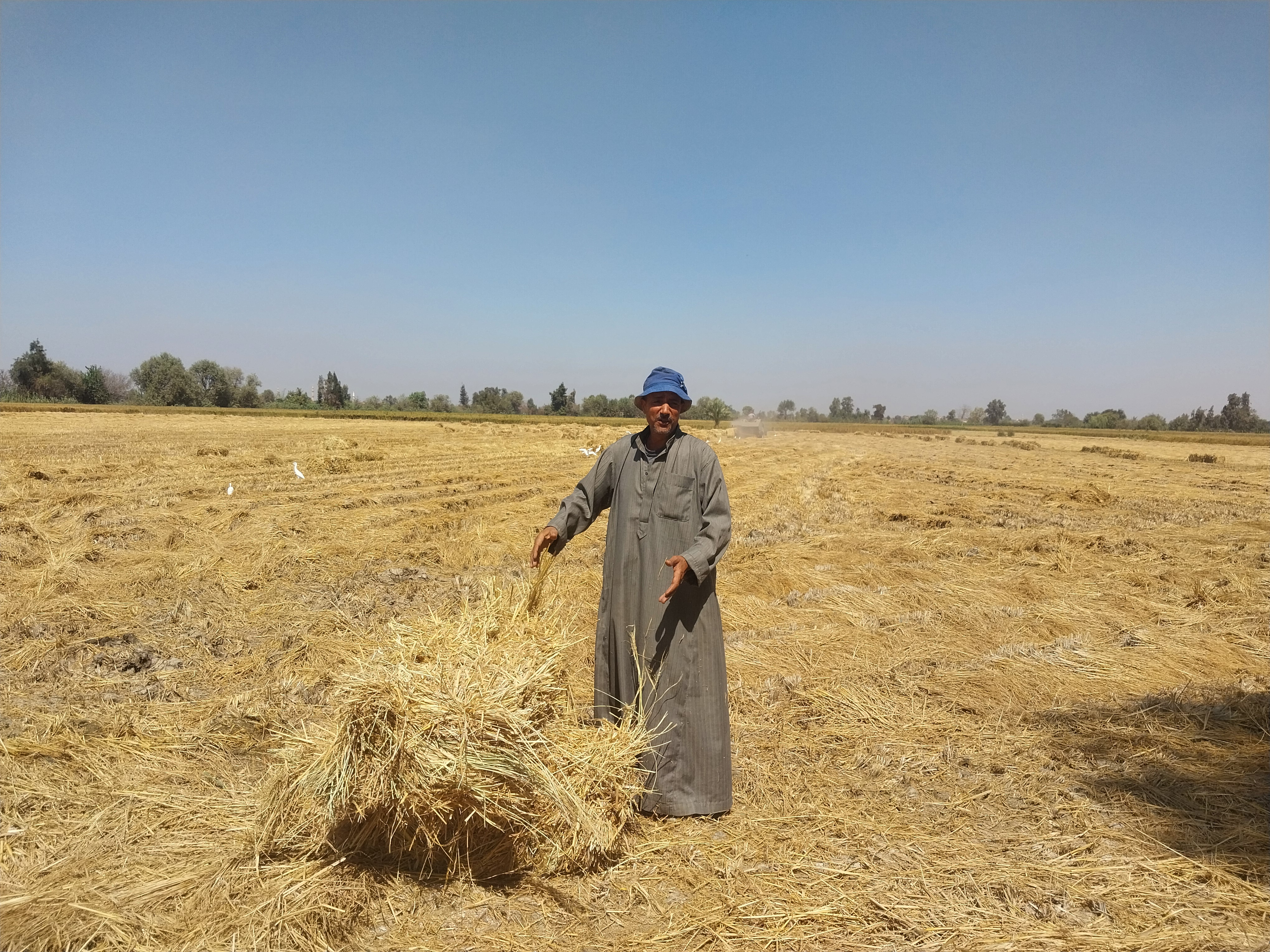 احد المزارعين. احد المزارعين.