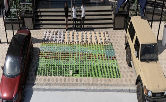 b8781de5-ef01-47b2-bdcf-2e75eaad3016 b8781de5-ef01-47b2-bdcf-2e75eaad3016