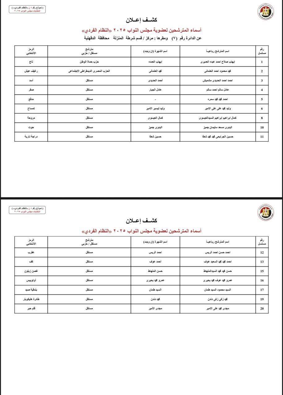 الدائرة  السابعة بمحافظة الدقهلية