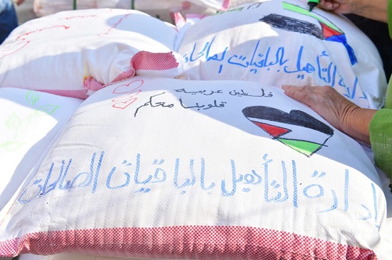 قوافل إلى قطاع غزة  (3)