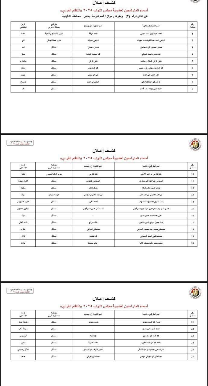 الدائرة الثالثة - الدقهلية