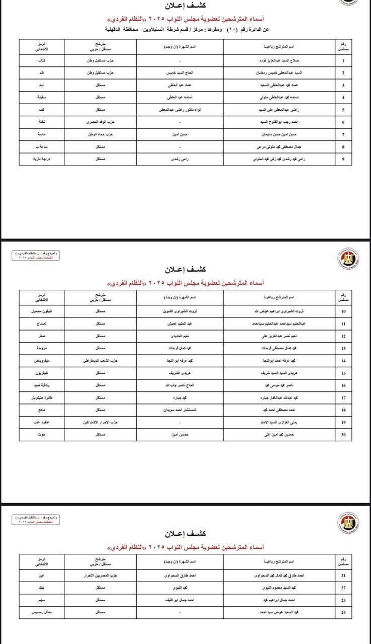 الدائرة  العاشرة بمحافظة الدقهلية