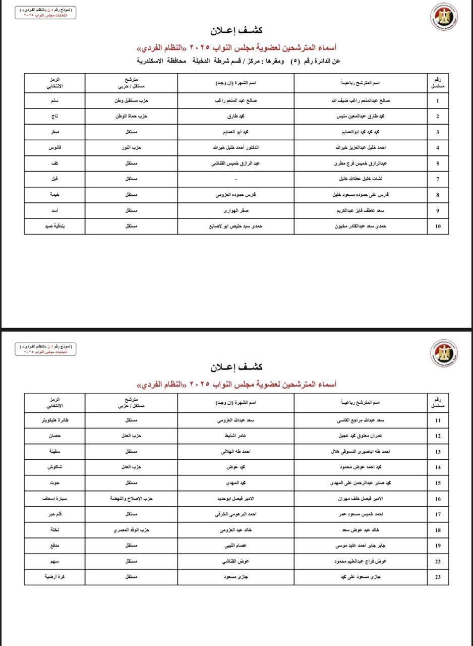 دوائر الإسكندرية (4)