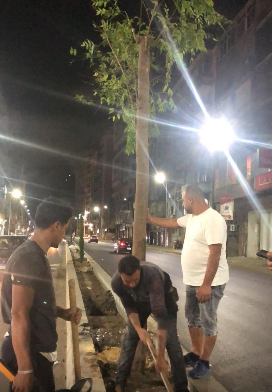 إزالة النخيل فى طريق الحرية