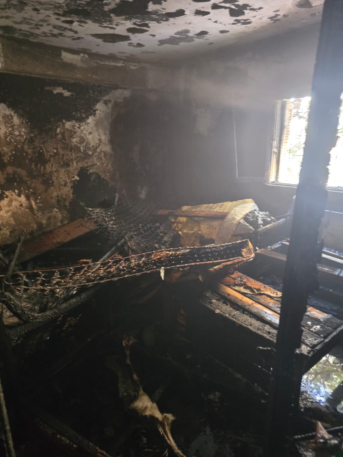 e4fc5314-96ac-4b28-889d-d010f620a029 (1)