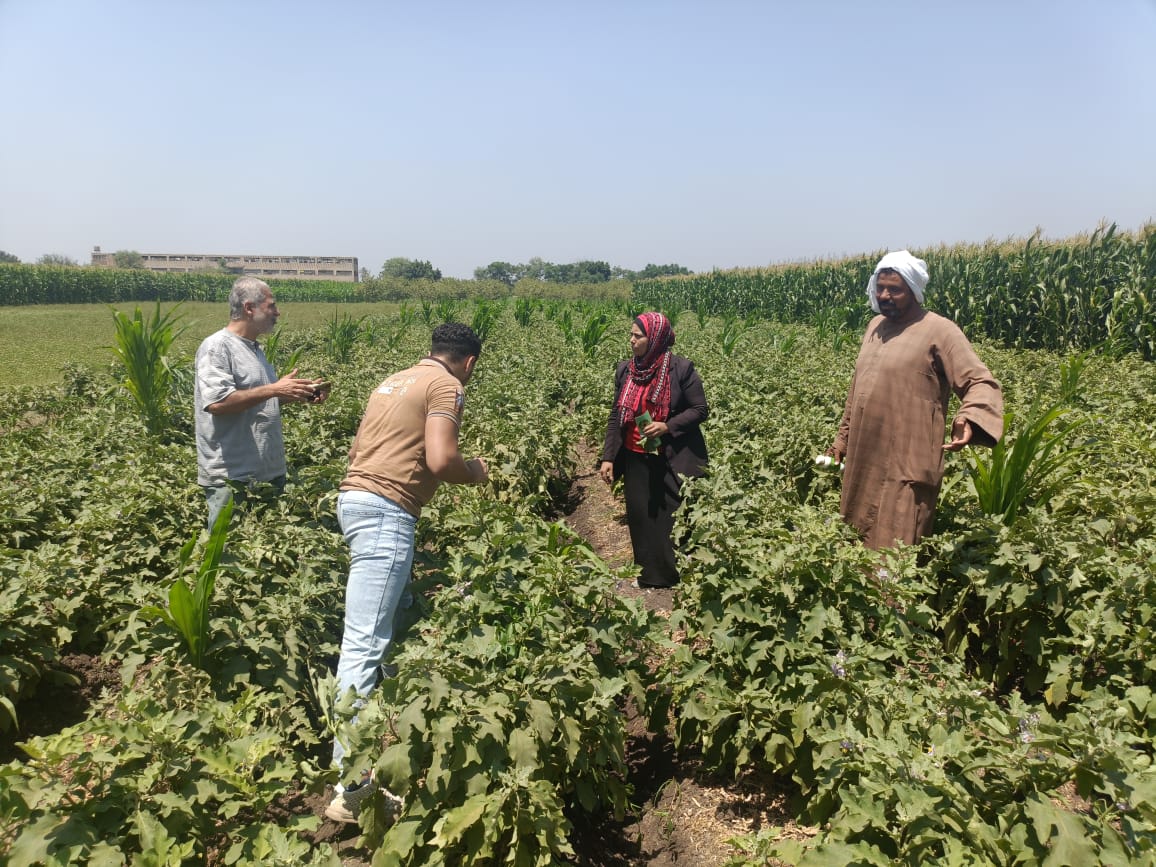 جانب من مبادرة أزرع جانب من مبادرة أزرع