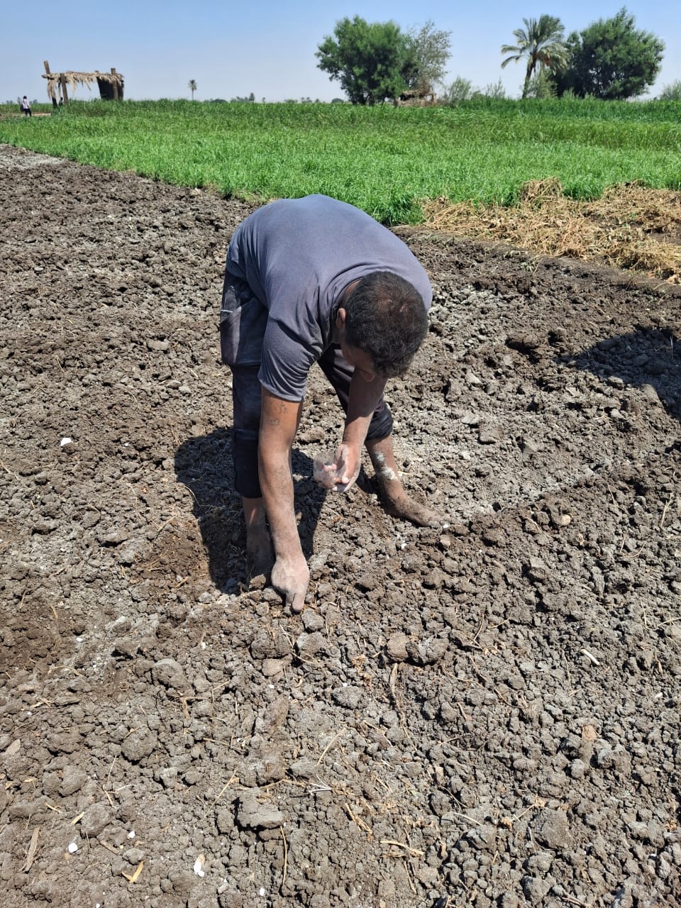 مبادرة أزرع مبادرة أزرع