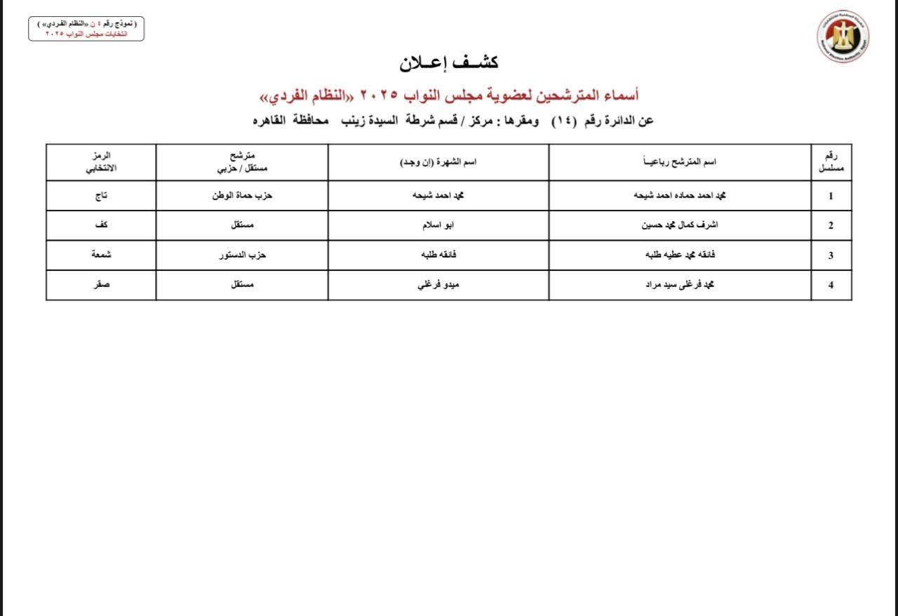 دوائر القاهرة (11)