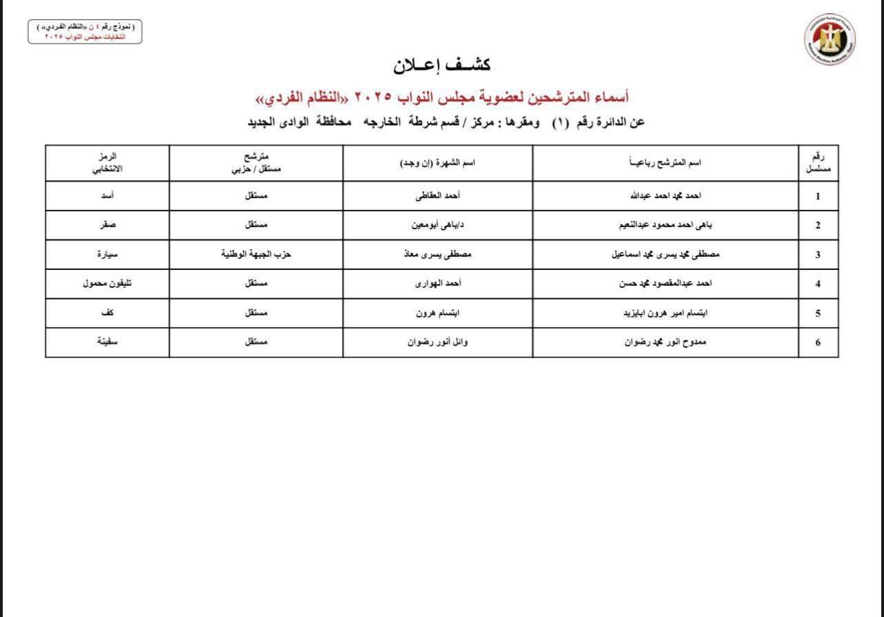 دوائر الوادى الجديد (2)