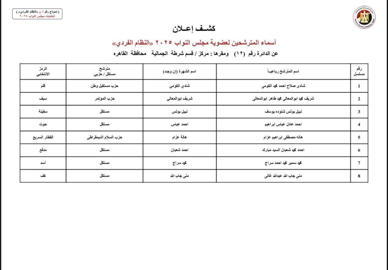 دوائر القاهرة (8)
