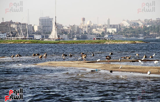 مدينة-أسوان