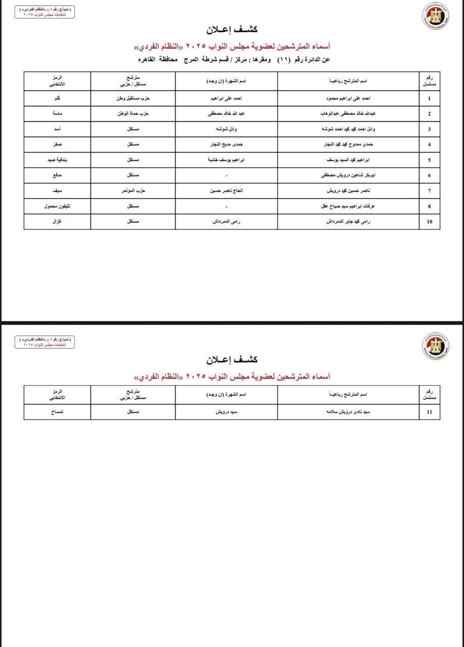 دوائر القاهرة (9)
