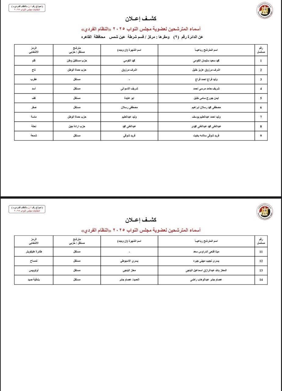 دوائر القاهرة (6)
