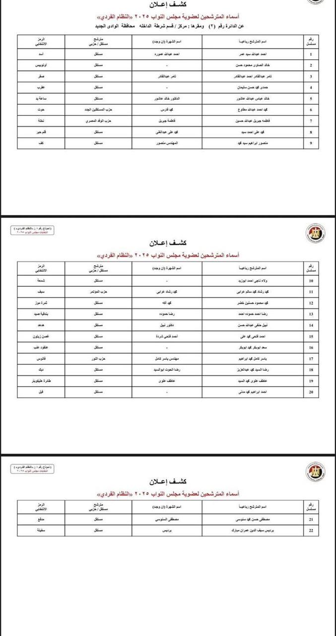 دوائر الوادى الجديد (1)