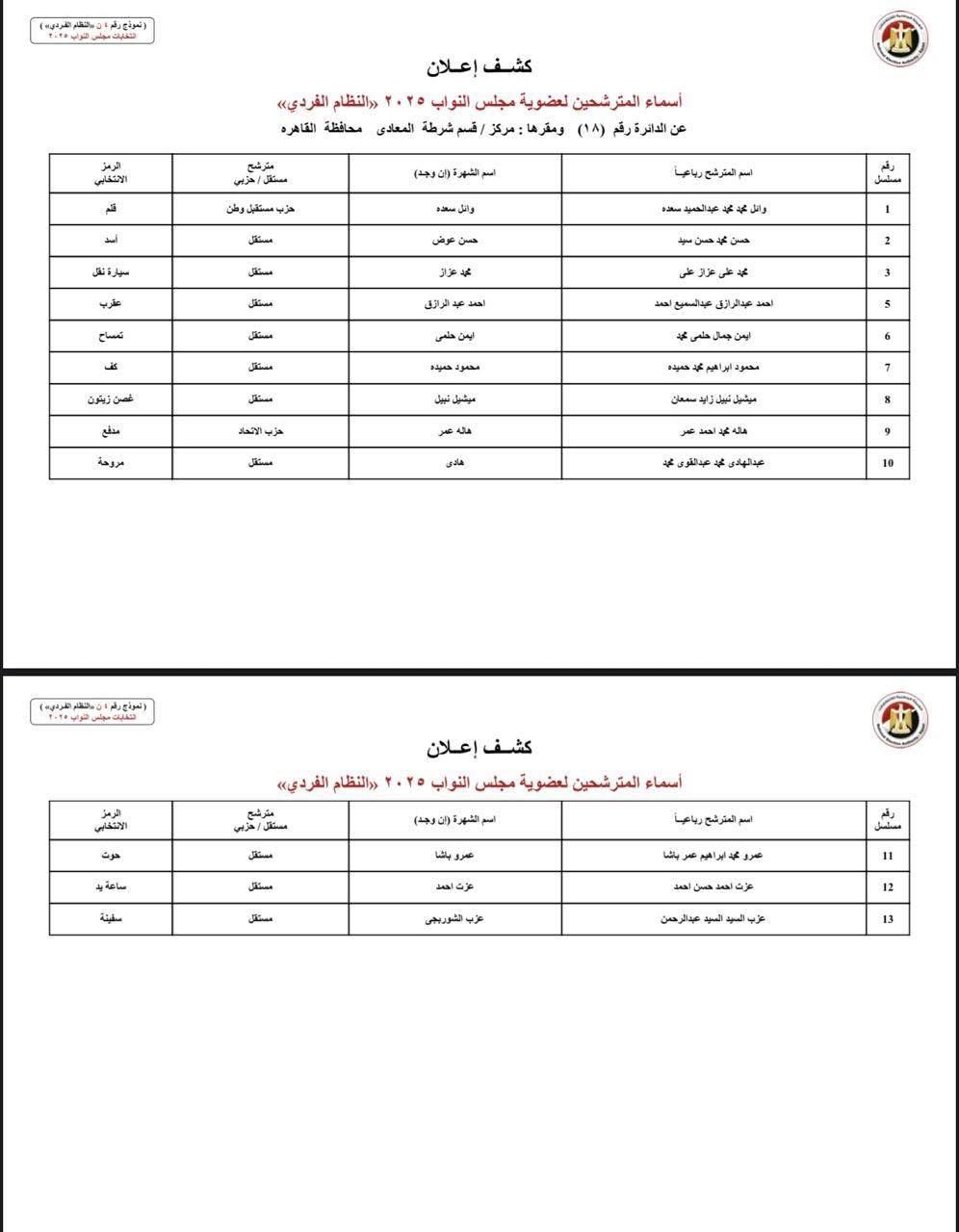 دوائر القاهرة (15)