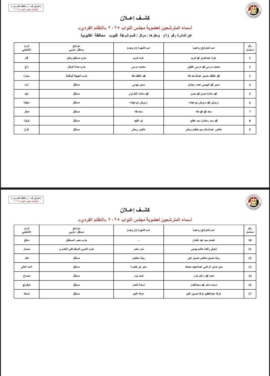 دوائر القليوبية (4)
