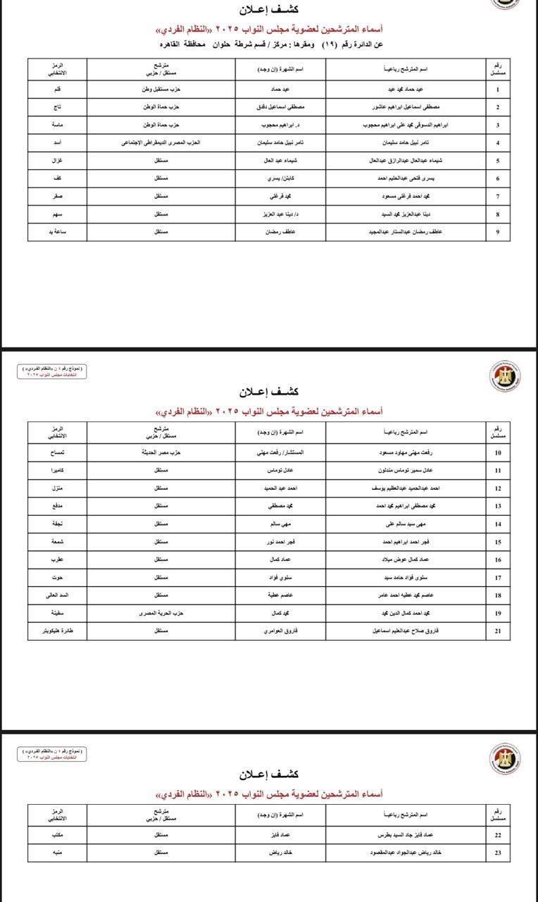دوائر القاهرة (16)