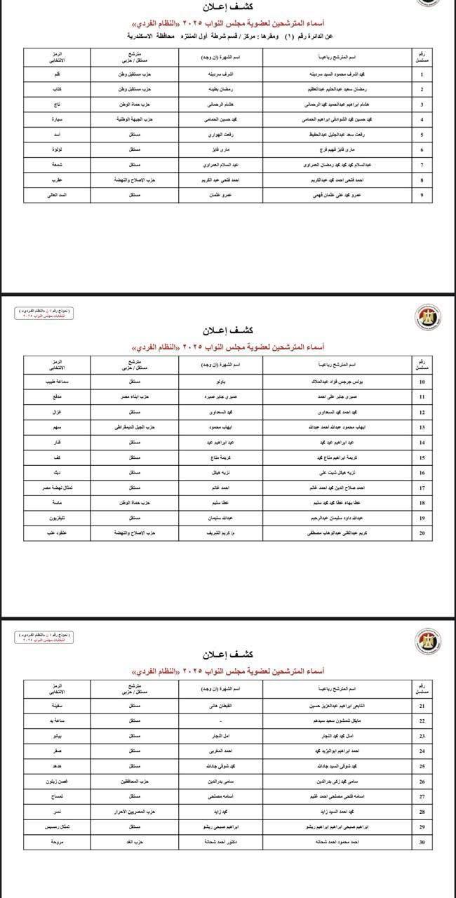دوائر الإسكندرية (1)