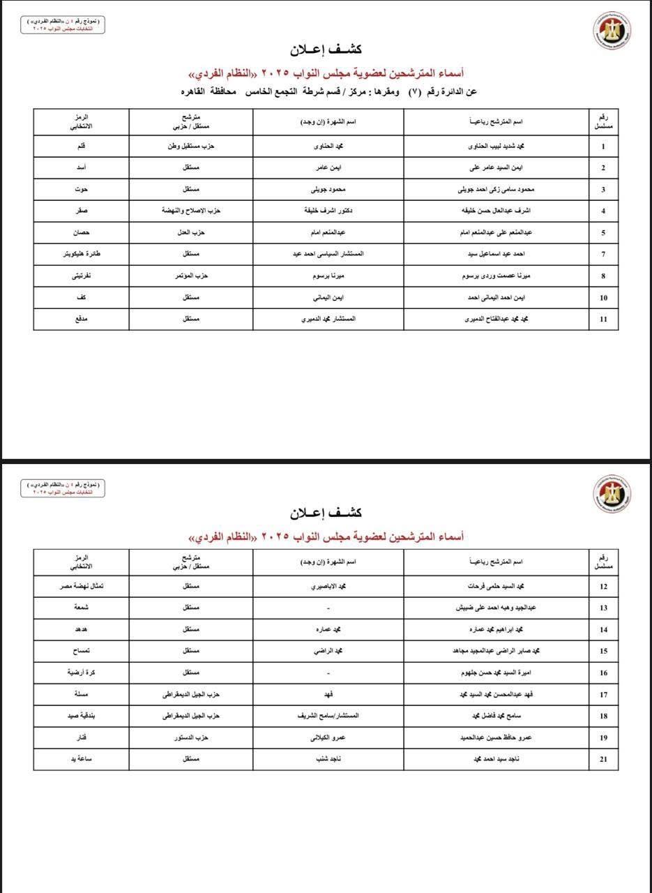 دوائر القاهرة (4)