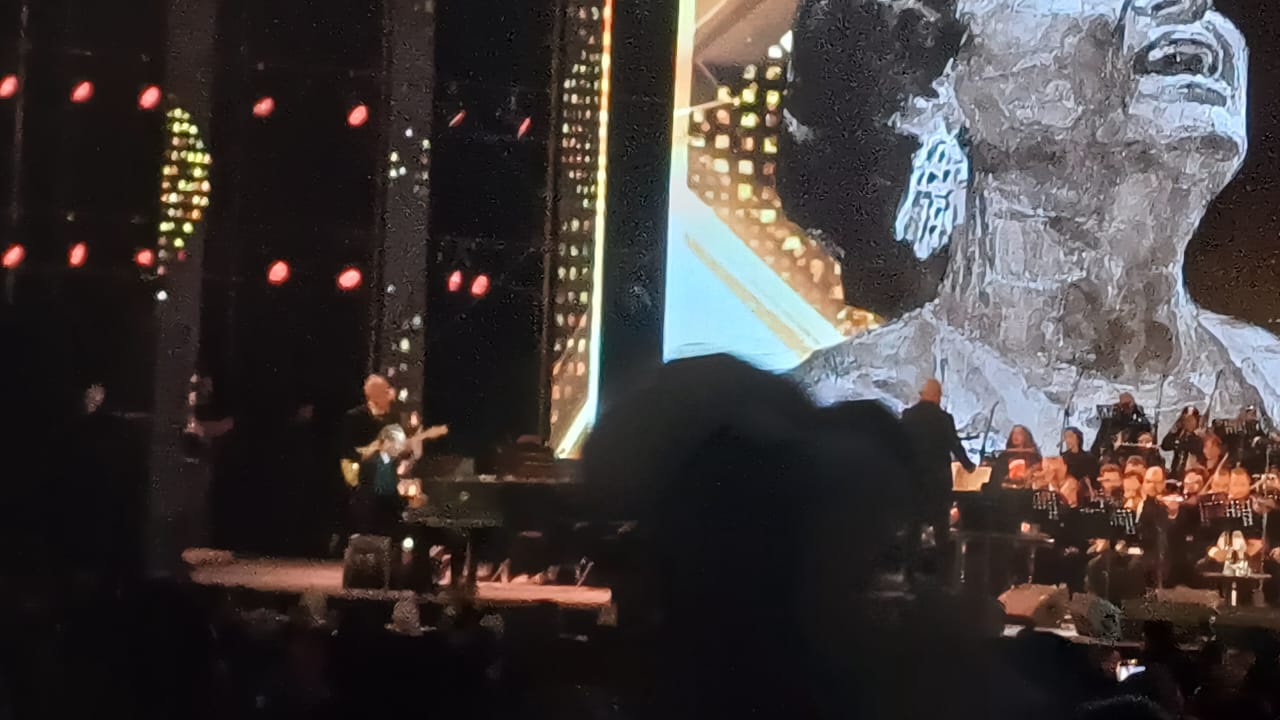 عمرو سليم يقدم مقطوعة موسيقية قبل حفل مدحت صالح بمهرجان الموسيقى العربية (2)