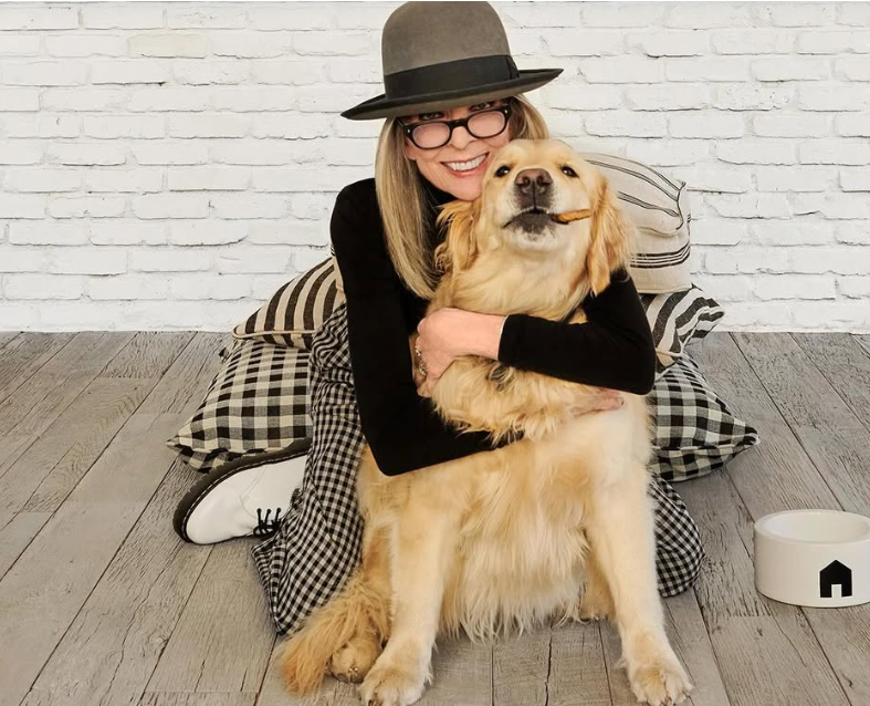 كلب الممثلة الأمريكية الراحلة