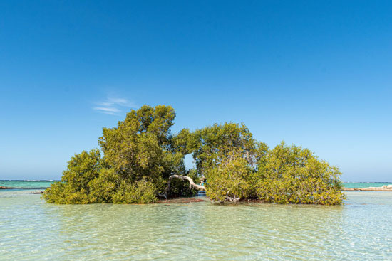 المناظر الطبيعية الخلابة