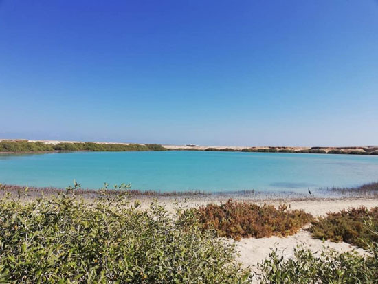 جمال محيمة وادى الجمال