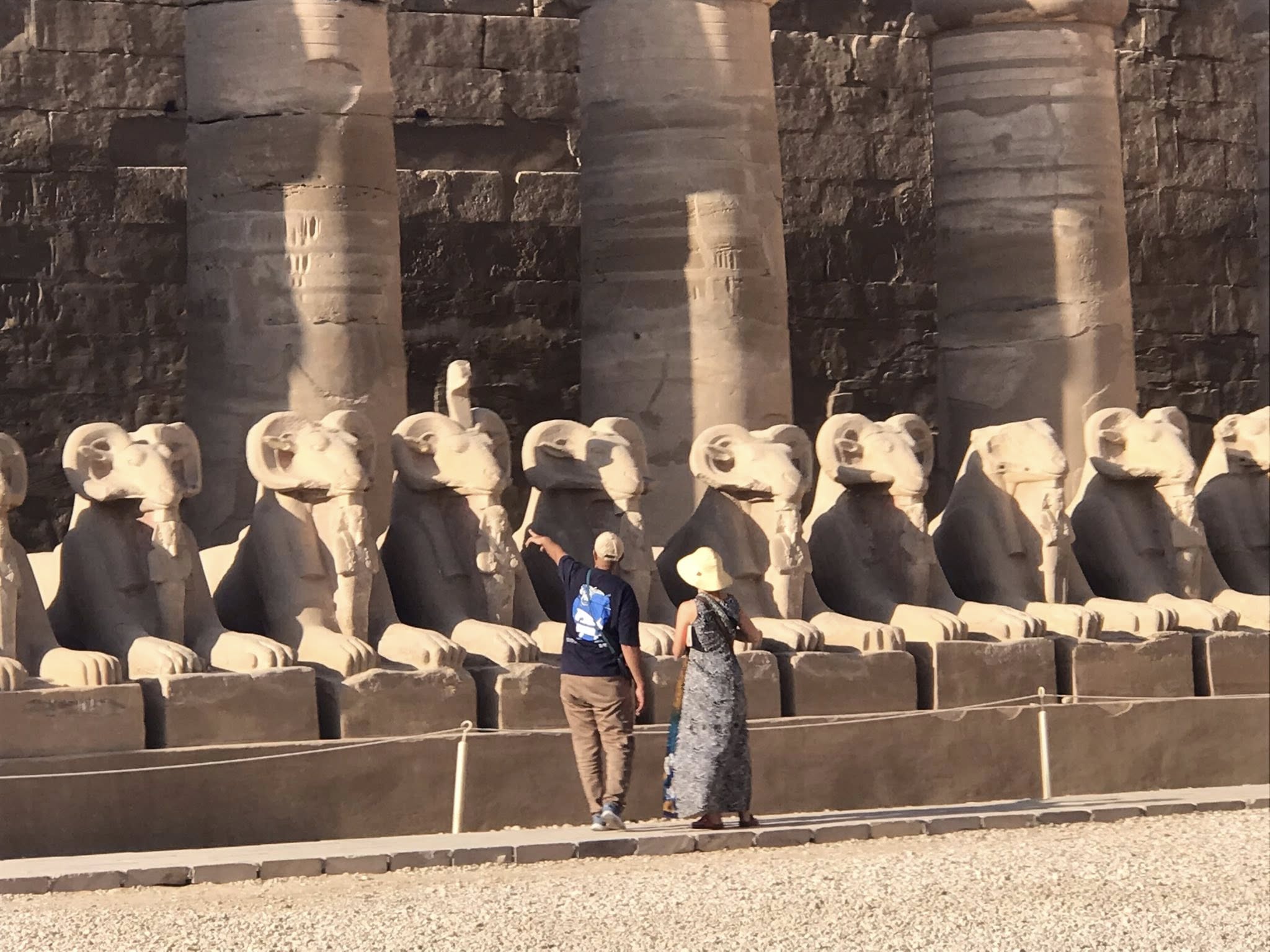 أجنبية تستمتع لشرح عن كباش الكرنك