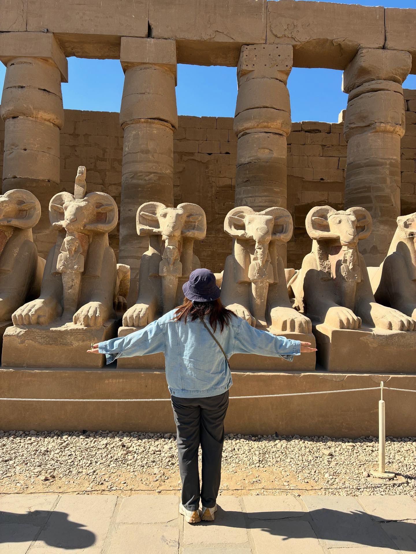 سائحة تستمتع بمشاهدة كباش الكرنك