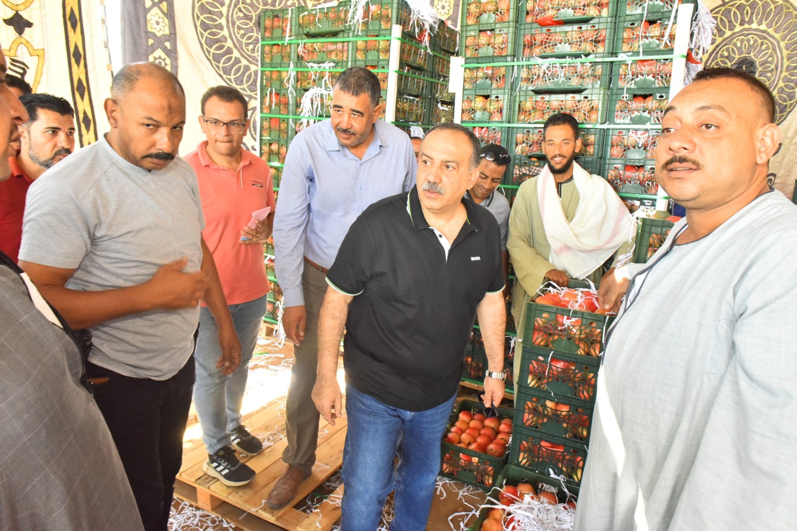 الدولة تبدأ في إنشاء مصنع الرمان يقام علي 40 فدان (2)