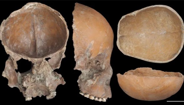 أقنعة هيكل عظمى