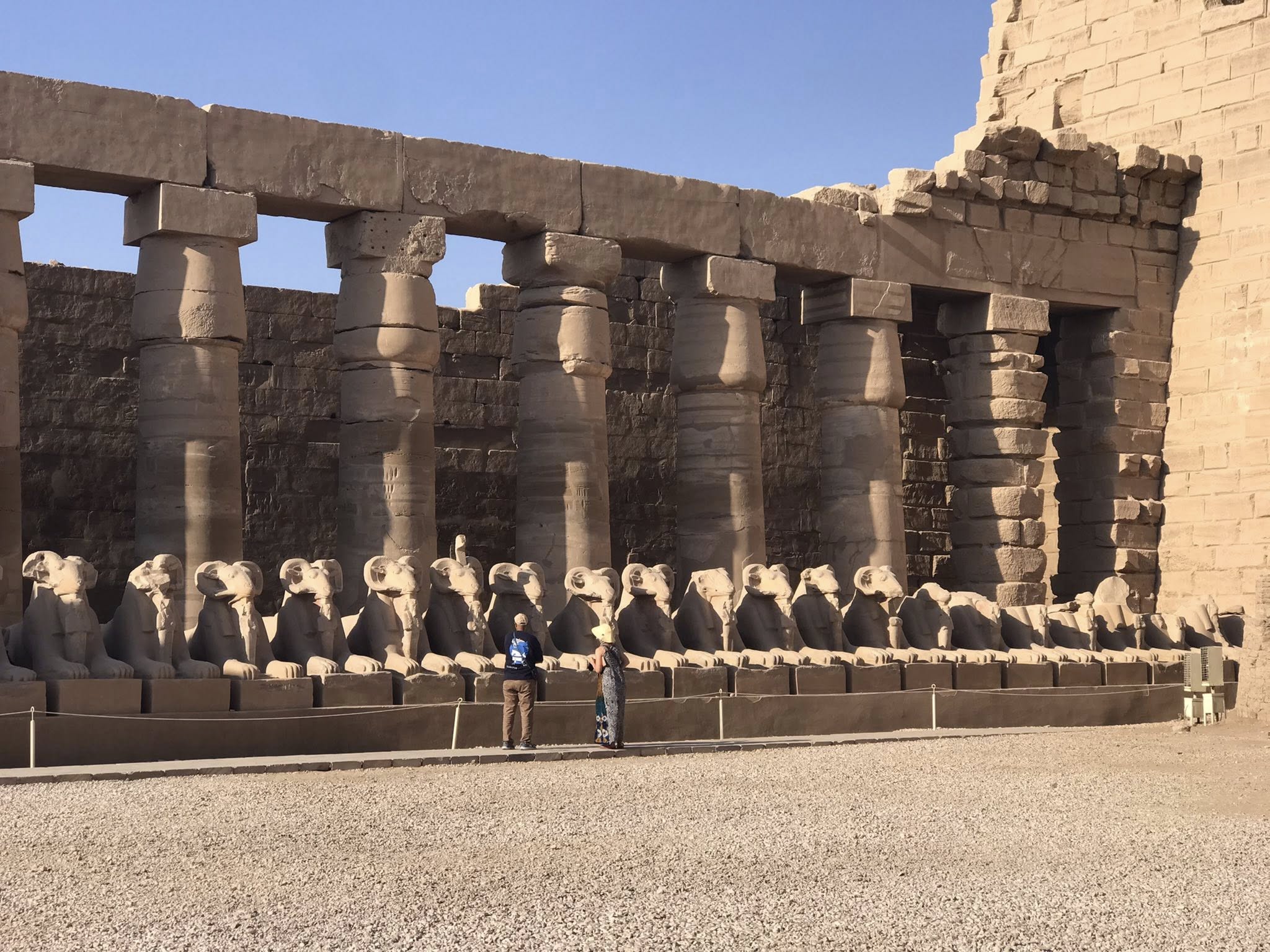 صورة اليوم.. كباش معابد الكرنك سحر يجذب سياح العالم بعد ترميم 48 كبش