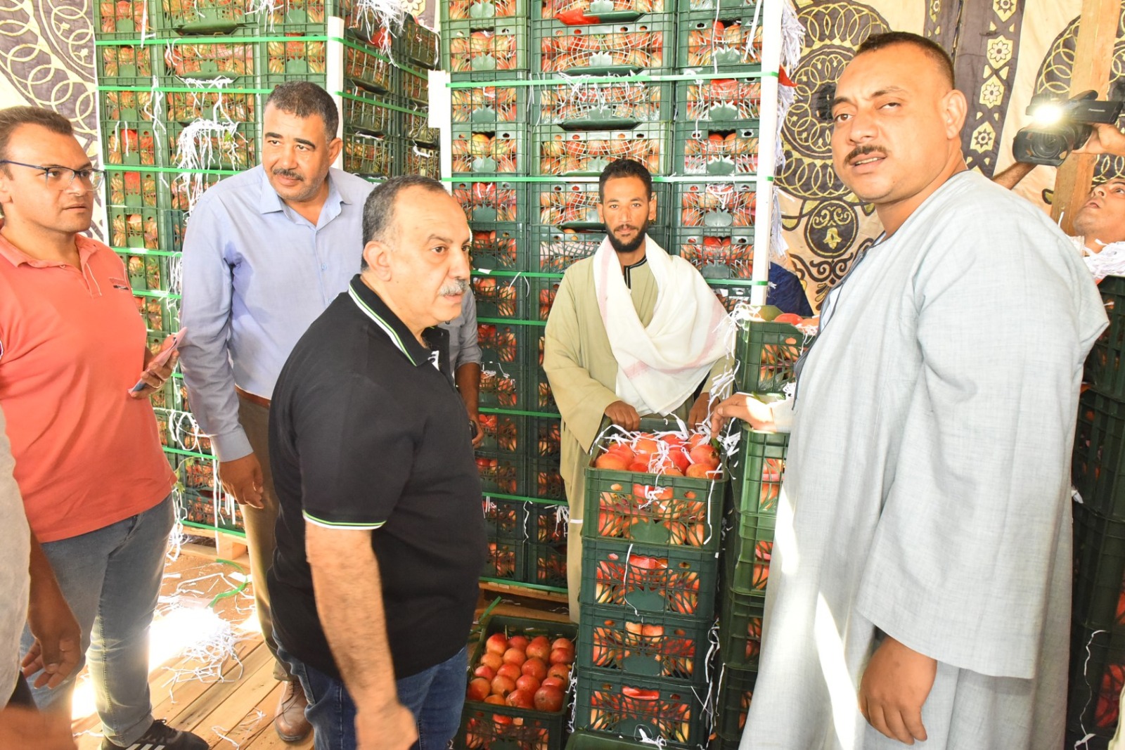 الدولة تبدأ في إنشاء مصنع الرمان يقام علي 40 فدان (3)