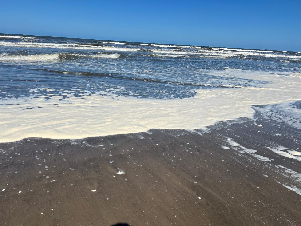 الزبد الزبد