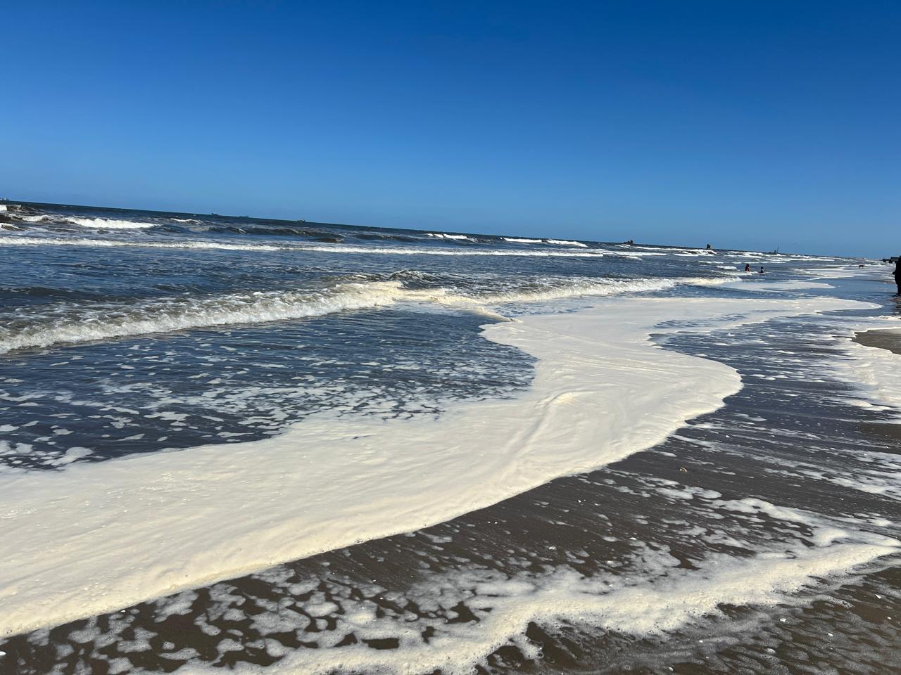 الزبد في البخر ببورسعيد الزبد في البخر ببورسعيد