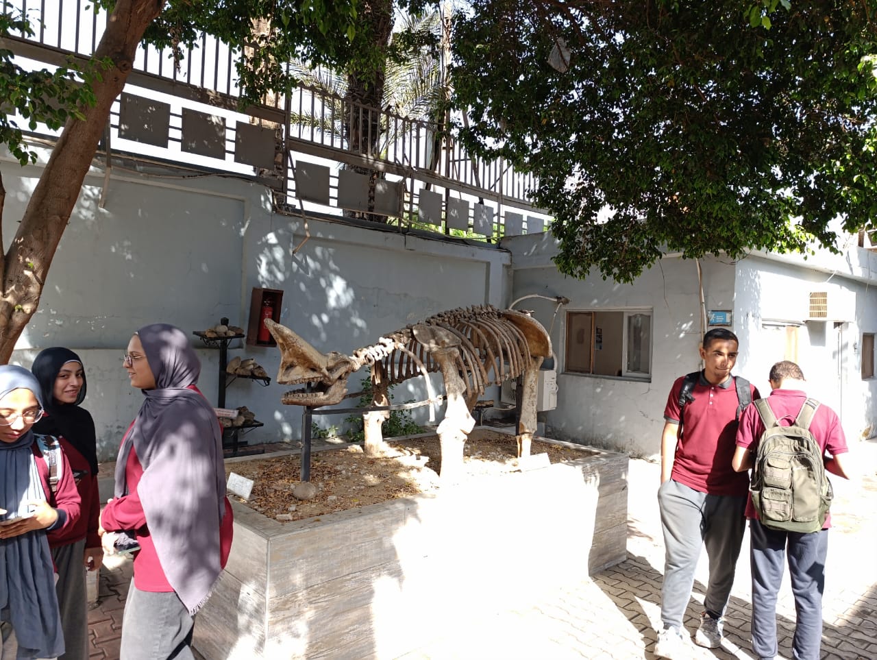 طلاب معهد الكوزن المصري الياباني يزورون المتحف الجيولوجي المصري