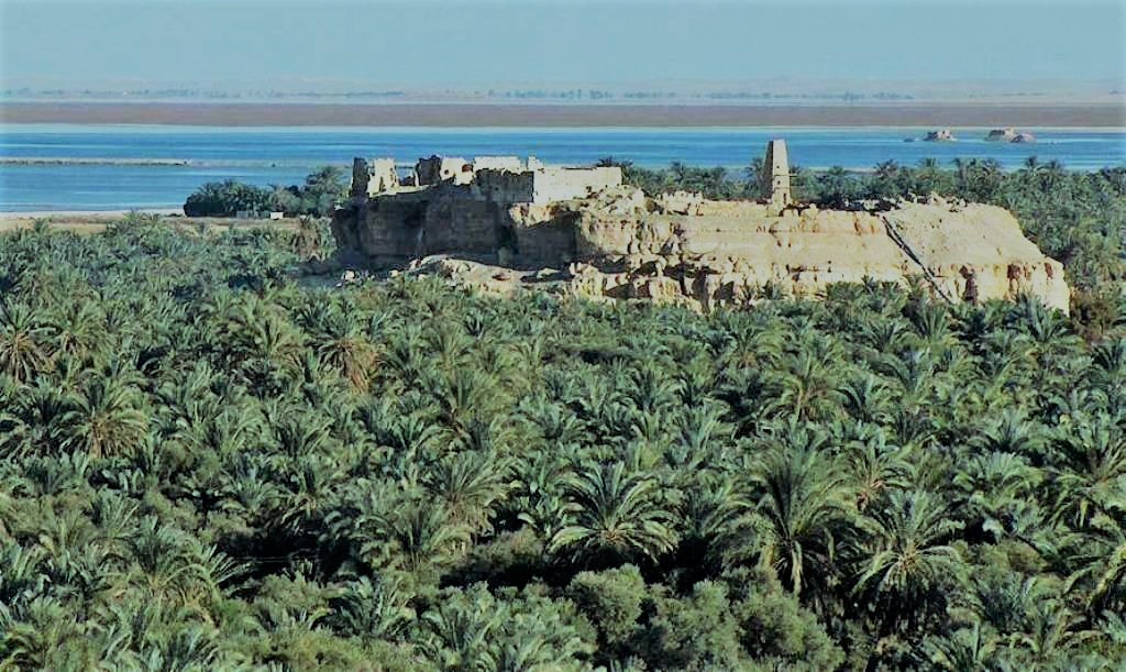 اشجار النخيل تجعل من سيوة لوحة طبيعية