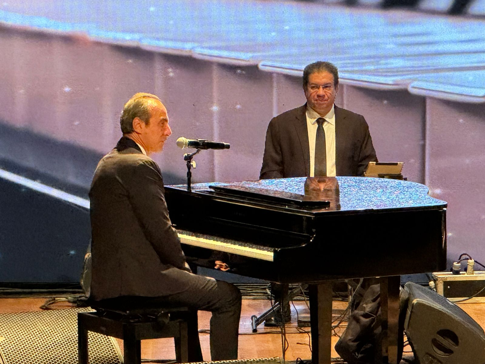 الموسيقار عمرو سليم الموسيقار عمرو سليم