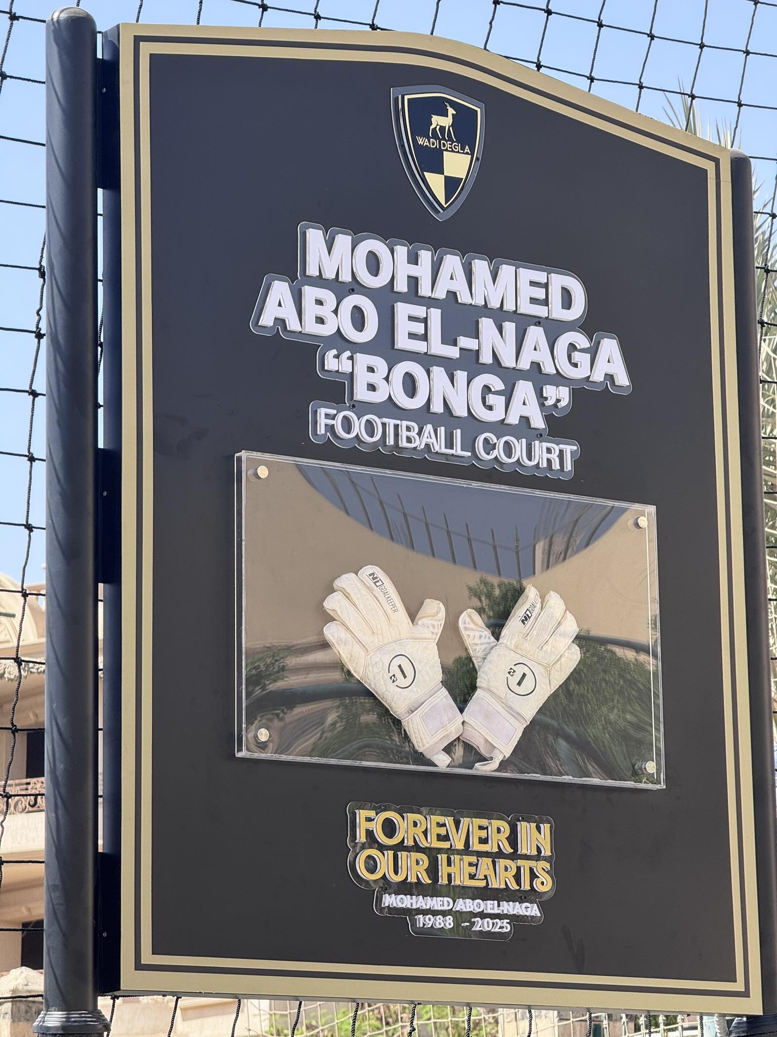 ملعب محمد أبو النجا