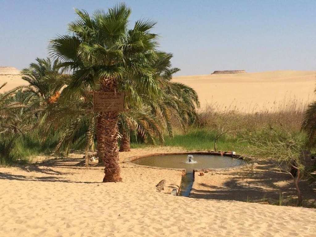 عيون المياه الطبيعية تنتشر في واحة سيوة