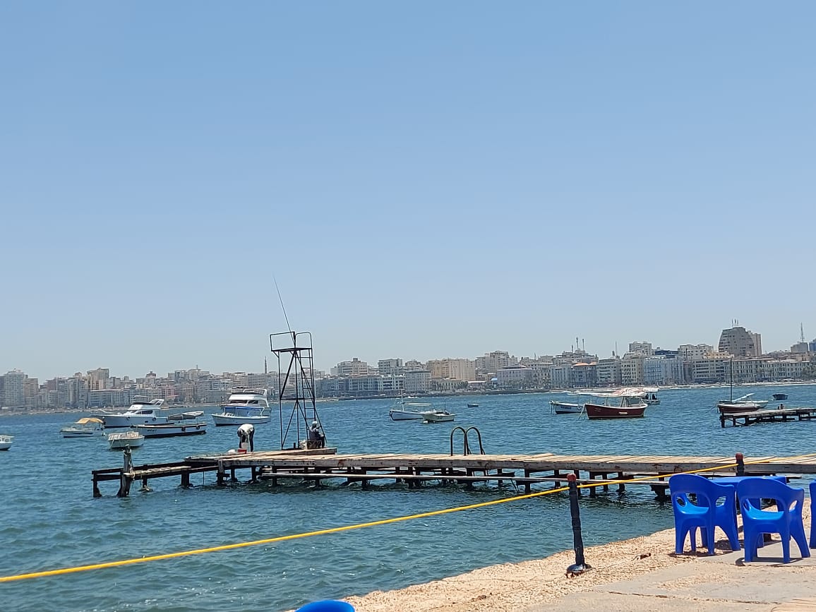 لسان خشبى لصيد السنارة