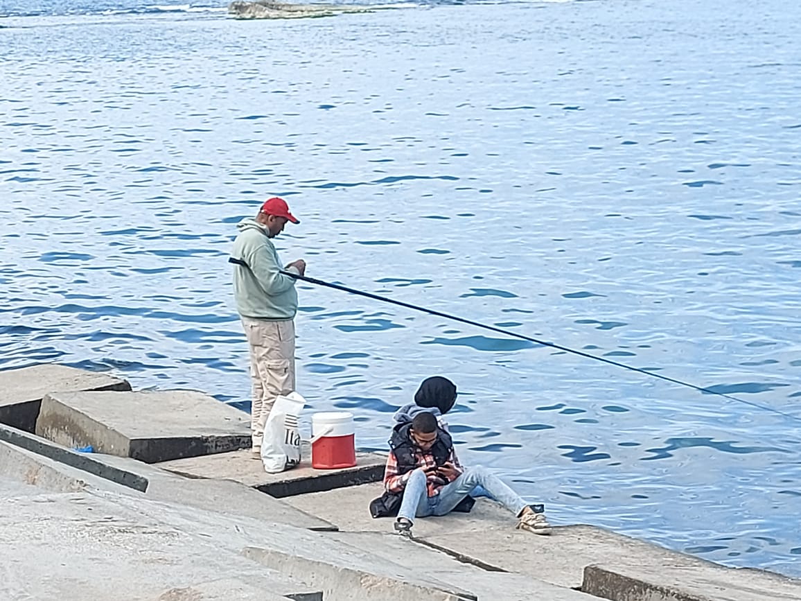 صيد السناره 0