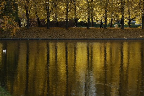 طقس الخريف في سانت بطرسبرغ (6)