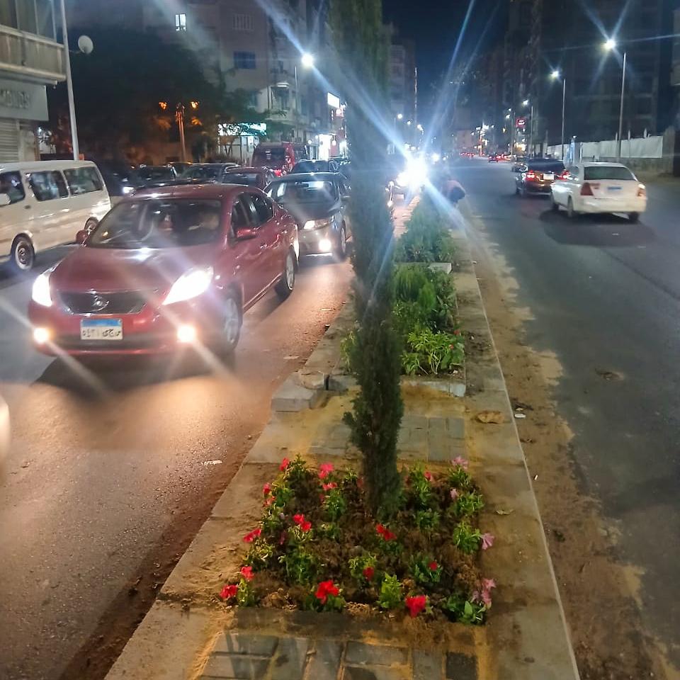 بدء زراعة الجزيرة الوسطى بمشروع توسعة شارع أبو قير بالإسكندرية (3)